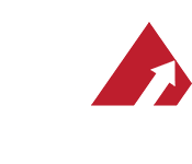 The AAM Group